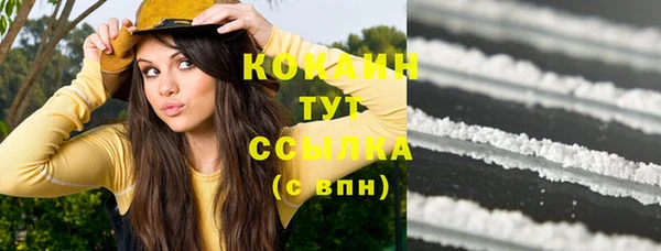 стаф Богородицк