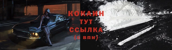 дживик Богданович