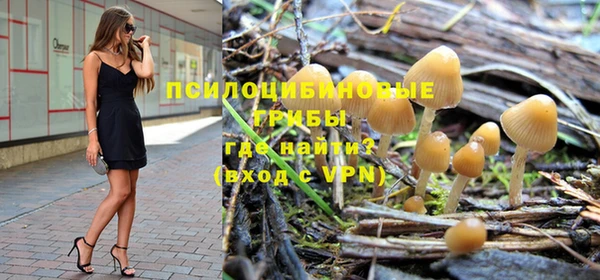 стаф Богородицк