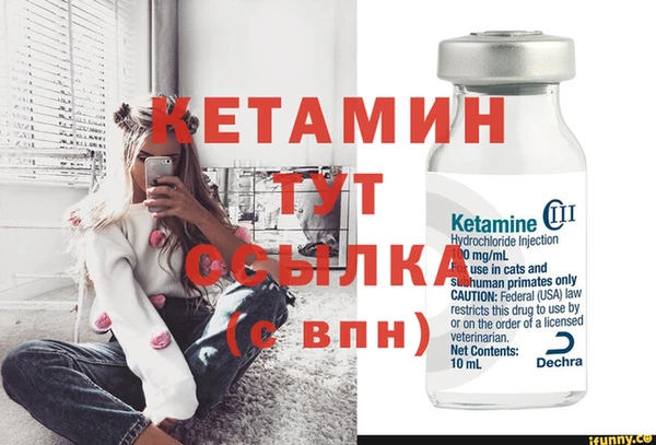 стаф Богородицк