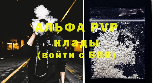 стаф Богородицк