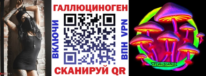 Псилоцибиновые грибы GOLDEN TEACHER  Купить закладки  Гаджиево 