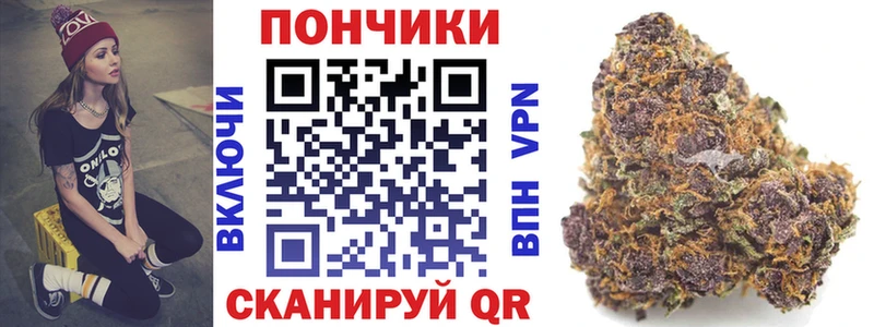 Купить где  Гаджиево  Бошки Шишки планчик 